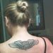 Profile Picture of Laurie (Stinson) McKay (@gsd16paws) on Pinterest