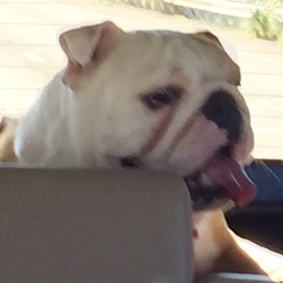 Profile Picture of Gary Tipton (@GarySinFla) on Twitter