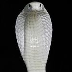 mario collins - Instagram Profile Picture of mario collins (@mariocollins875) on Instagram