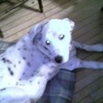 Profile Picture of Connie Brost (@connie.brost.1) on Myspace