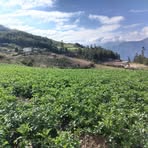 Profile Picture of Epifanio Lopez (@epifanio.lopez.39589) on Facebook