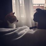 Profile Picture of James&Ruby (@jamesandruby) on Instagram