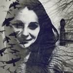 Profile Picture of Casey Tays (@caseytays) on Instagram