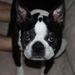 Profile Picture of Erika Heldt (@laxmom32003) on Pinterest