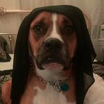 Profile Picture of Buddy Gillie-Sterling (@budd.yluvs) on Instagram