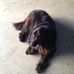 Profile Picture of Larry Wykert (@larry.wykert.9) on Facebook