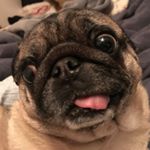 Profile Picture of Lisa Winans (@lisarorabackwinans) on Instagram