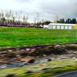 Profile Picture of Joey gasca (@joey_the_guitar_guy) on Instagram