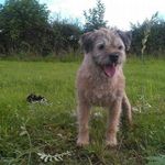 Profile Picture of Peter Murtagh (@peter_murtagh) on Instagram