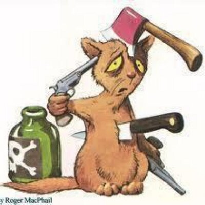 Profile Picture of Mohamed Alshugaa (@AlshugaaM) on Twitter