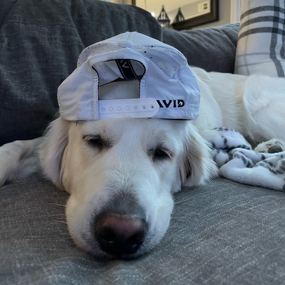 Profile Picture of Parker Wieckowski (@parkerw0852) on Poshmark