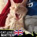 Profile Picture of Gary Perring (@gary.perring.3) on Facebook