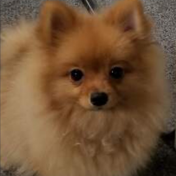 Profile Picture of Na-yon Kim (@nayonkkim45) on Poshmark