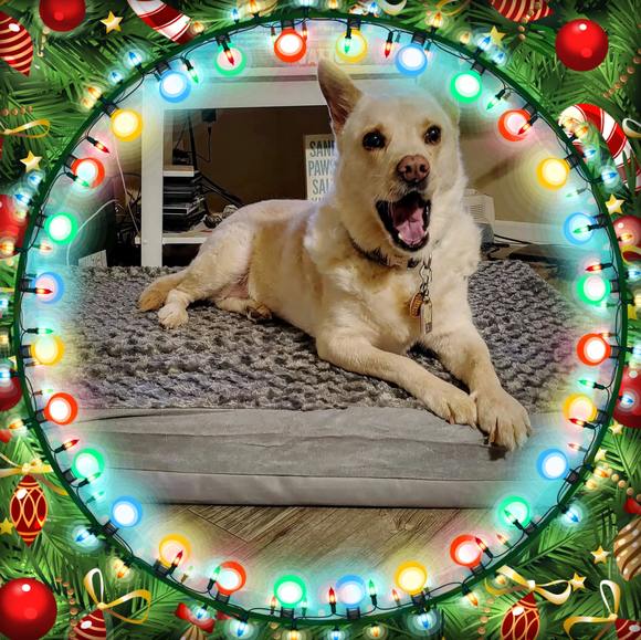 Heather Goins - Poshmark Profile Picture of Heather Goins (@heathergoins11) on Poshmark