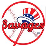 Profile Picture of Steven Gin (@stevengn02) on Instagram