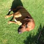 Profile Picture of ralph_milton (@ralph_milton) on Instagram