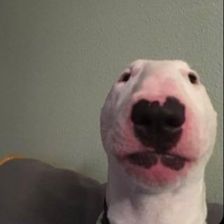 Profile Picture of Scott Finlayson (@scottfinlayson8) on Twitter