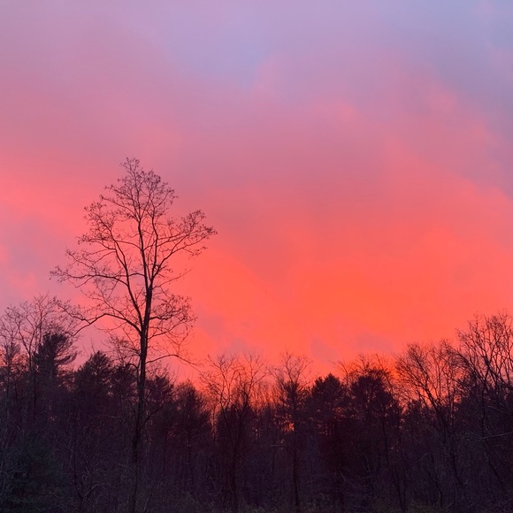 Profile Picture of Meghan Mcsheffrey (@m_mcsheffrey) on Poshmark