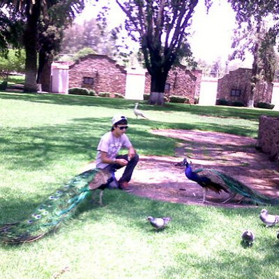 Profile Picture of Fernando Camarillo (@FerMdd) on Twitter