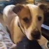 Profile Picture of Gary Burkhart (@garyburkhart4) on Tiktok
