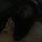 Profile Picture of Tracy Colbert (@tracy.colbert.923) on Facebook