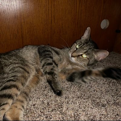 Profile Picture of Chris Malnar (@ChrisMalnar1) on Twitter