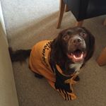 Profile Picture of Adam Goddard (@adam.goddard23) on Instagram