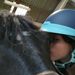 Profile Picture of 🐴💜Axelle Love Horses💜🐴 (@capitainelescoun) on Pinterest