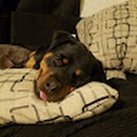 Profile Picture of Jason Hearn (@jason-hearn-45) on Quora