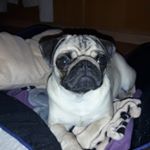 Profile Picture of Davey Stevens (@stevens.davey) on Instagram