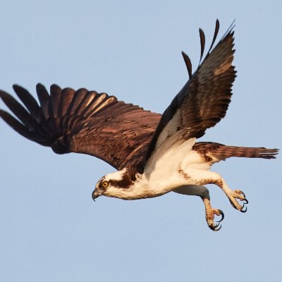 Profile Picture of TomBorneman (@BornemanTom) on Twitter