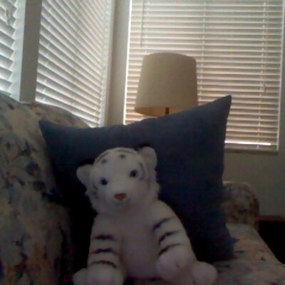 Profile Picture of Alex Molino (@@TheAshleyOsment) on Twitter