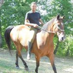 Profile Picture of Luciano Baldassari (@luciano_baldassari) on Instagram