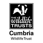 Profile Photo of Cumbria Wildlife Trust (@cumbriawildlifetrust) on Instagram