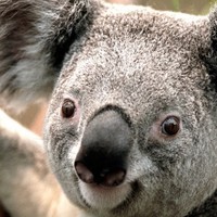 Profile Picture of Lily Bragg (@lily-bragg-1) on Quora