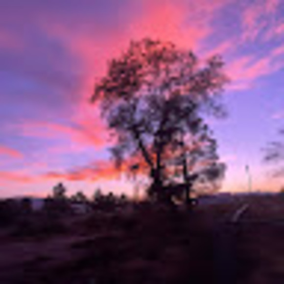 Profile Picture of Mckenzie Helgerson (@kenziejoe100307) on Poshmark