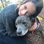 Profile Picture of Shareen Kane (@smallbrownstaffy) on Instagram