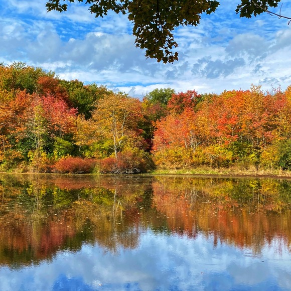 Profile Picture of Amy Schneider (@amy_creates) on Poshmark