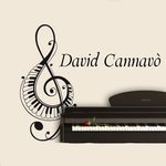 David Cannavò - Instagram Profile Picture of David Cannavò (@david.piano_music) on Instagram