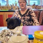 Profile Picture of Frances Doggett McCarthy (@francesmccarthy1944) on Instagram