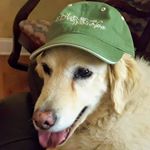 Profile Picture of Jeff Schermerhorn (@schermerhornjeff) on Instagram