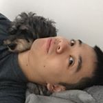 Profile Picture of Alex Truong (@alex_truong95) on Instagram