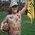 Profile Picture of Darrell Aubrey (@darrell.aubrey.5) on Facebook