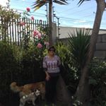 Profile Picture of Gustavo Roberto Struve Puente (@struvepuente) on Instagram