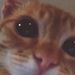 Profile Picture of Christina Krebser (@christina1979) on Pinterest