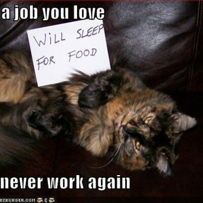 Profile Picture of Cassandra H. Hanson (@Chanson15) on Twitter