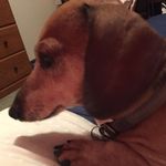 Profile Picture of Michael Polasek (@michael1polasek) on Instagram