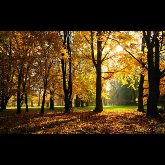 Profile Picture of Janet Zavala (@herrera1234) on Poshmark