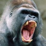 Profile Picture of Robert Snider (@robertesnider) on Instagram