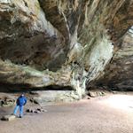 Profile Picture of David McGough (@braucktoon) on Instagram